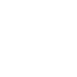 iguana image icon