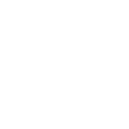 rabbit image